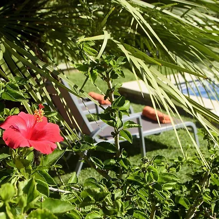 Tintorer Villa Port de Pollenca